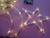 Cortina led estrellas y lunas - comprar online