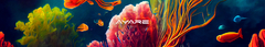 Banner da categoria Natureza