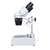 Esteremicroscópio Binocular Basic 80x, Bivolt - comprar online