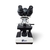 Microscópio Basic Binocular Semi-Plano
