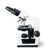 Microscópio Basic Binocular Semi-Plano - comprar online