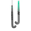 Palo de Hockey Dream 2 75% Carbono - Naked