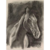 CHARCOAL HORSE STUDY ON GREY I