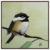 CHICKADEE NO. 143 - comprar online