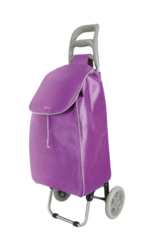 Carrito para compras con bolsa con capacidad extra grande Aster en internet