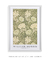 Chrysanthemum pattern by William Morris - minimartes