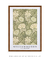 Chrysanthemum pattern by William Morris - comprar online