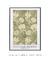 Chrysanthemum pattern by William Morris - minimartes