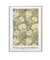 Chrysanthemum pattern by William Morris