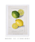 Citrus Limon by Ellen Isham Schutt - minimartes