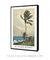 Palm Tree, Nassau (1898) by Winslow Homer na internet