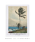 Palm Tree, Nassau (1898) by Winslow Homer - minimartes