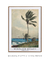 Palm Tree, Nassau (1898) by Winslow Homer - comprar online