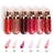 Lip Gloss Labial - Febella na internet