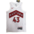 Jersey Toronto Raptors 22/23 Association Edition - Uniforme oficial Toronto Raptors - Edição limitada 22/23 - Camisa de basquete Toronto Raptors - Camiseta NBA Toronto Raptors - Jersey masculino/feminino - Produto licenciado NBA - Modelo autêntico - Estam