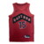 Jersey Toronto Raptors, Icon Edition, 22/23, NBA, basquete, Toronto, Raptors, camisa, uniforme, time, temporada, oficial, qualidade, conforto, estilo.