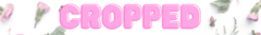 Banner da categoria cropped