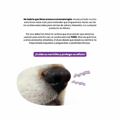 Ebook Aceites esenciales y perros. Guía para sus primeros usos - Abrazos Verdes MX