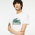 Camiseta Masculina Lacoste Logo Estampado - comprar online