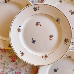 6 PLATOS PLAYOS DE SEMIPORCELANA FRANCESA 23 CM - comprar online