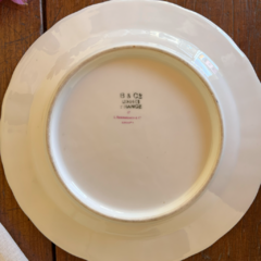 PLATO DE POSTRE PORCELANA LIMOGES DE 19,5 CM - comprar online