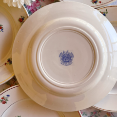 6 PLATOS PLAYOS DE SEMIPORCELANA FRANCESA 23 CM en internet