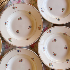 6 PLATOS HONDOS DE SEMIPORCELANA FRANCESA