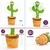 Imagem do Cactus Dançante Brinquedo Recarregável USB