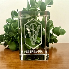 Vidro cubo decorativo de profissão veterinária