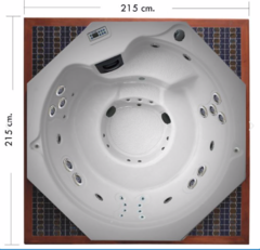 Tina - Aquaspa - Octagón - Teca - comprar en línea