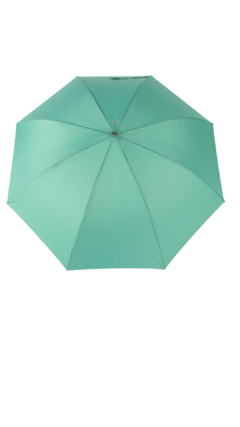 Guarda-Chuva Cabo Curvo Verde - comprar online