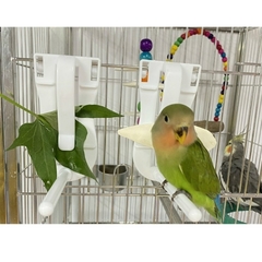 Birds Food Holder Pet Parrot Feeding Fruit Vegtable Clip Cuttlefish Bone Feeder Device Pin Clamp Bird Cage Accessories