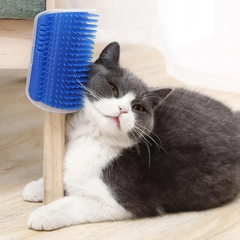 Catnip Catnip Brush for Walls and Furniture Quinas-Shipped from Brazil