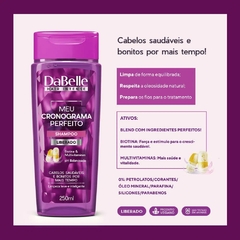 DaBelle Hair Meu Cronograma Perfeito - Shampoo 250ml e Condicionador 175ml. - Dara Rio Saúde e Bem-estar