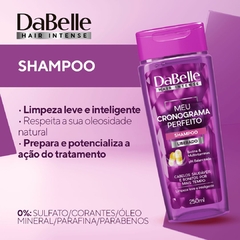 DaBelle Hair Meu Cronograma Perfeito - Shampoo 250ml e Condicionador 175ml. na internet