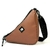 Bag Triangular