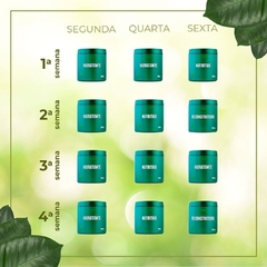 Cronograma Capilar Onixx Brasil Orgânica 500ml - Carol Perfumaria