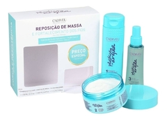 Kit Home Care Cadiveu Plástica De Argila Shampoo + Máscara+ Fluido - comprar online