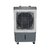 Climatizador de Ar Ventisol CLIN35 PRO 35L 3 Velocidades 150W com Dreno - Branco/Cinza - 110 Volts