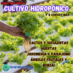 Curso de Hidroponía