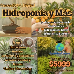 Pack de Hidroponia mas resina epoxi - comprar online