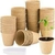 Maseta biodegradable para germinacion 6cm x 6cm - comprar en línea