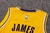 Camiseta Los Angeles Lakers Icon Edition 22/23 #23 James - Swingman - loja online