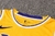 Camiseta Los Angeles Lakers Icon Edition 22/23 #3 Davis - Swingman - Futeverso