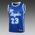 Camiseta Los Angeles Lakers Classic Edition 20/21 #23 James - Swingman