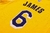 Camiseta Los Angeles Lakers Icon Edition 22/23 #6 James - Swingman