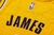 Camiseta Los Angeles Lakers Icon Edition 22/23 #6 James - Swingman - comprar online