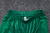 Kit Treino Palmeiras 23/24 (Blusa+Calça) - comprar online