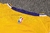 Imagem do Camiseta Los Angeles Lakers Icon Edition 22/23 #0 Kuzma - Swingman