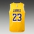 Camiseta Los Angeles Lakers Icon Edition 22/23 #23 James - Swingman - comprar online